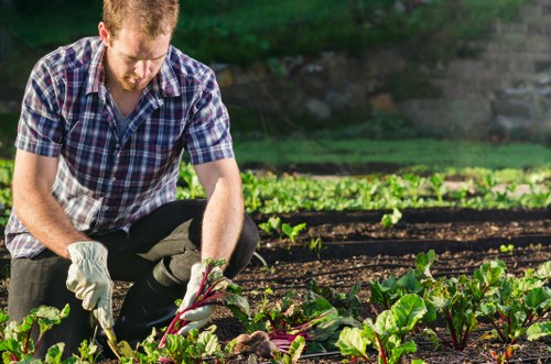 Governing law and final terms for the garden service
