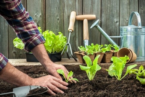 Supplier audit process for ethical gardening services in Aldborough Hatch