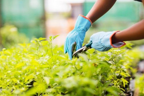 Transparent pricing for garden services in Aldborough Hatch