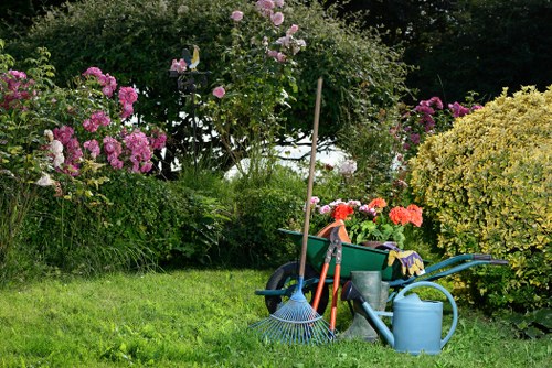 Professional lawn mowing in a local Aldborough Hatch property