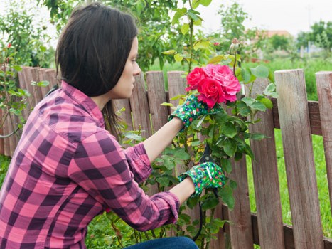 Final image representing a balanced cookie policy for gardening services
