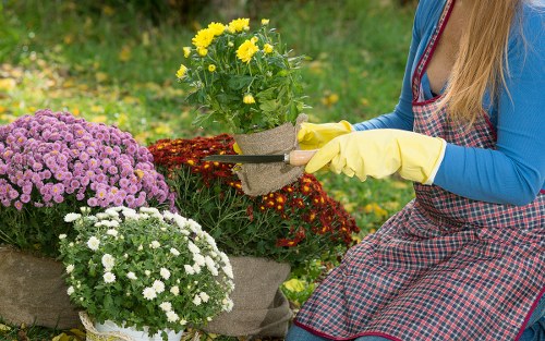 Final review of a gardeners complaints policy