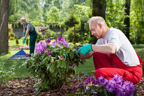 Seasonal planting and lawn care by gardeners in Aldborough Hatch