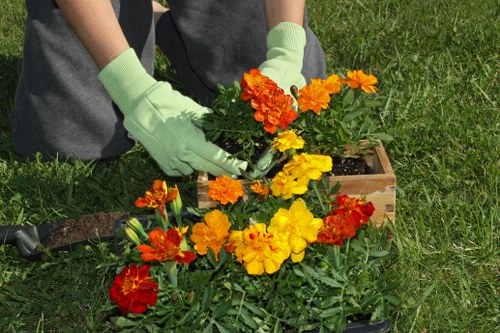 Professional hedge trimming and border care in Aldborough Hatch garden