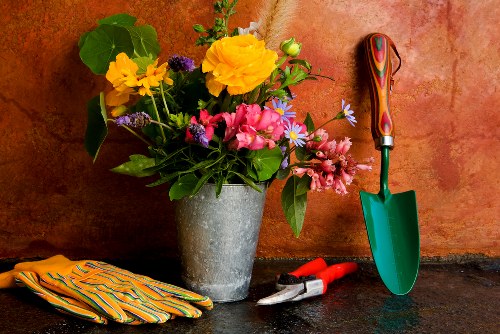 Seasonal lawn treatment and planting by gardening services in Aldborough Hatch