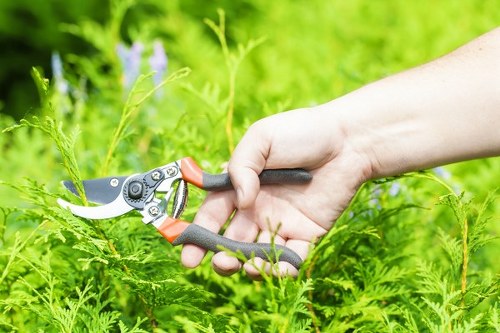 Professional gardener using powered equipment with safety precautions in place