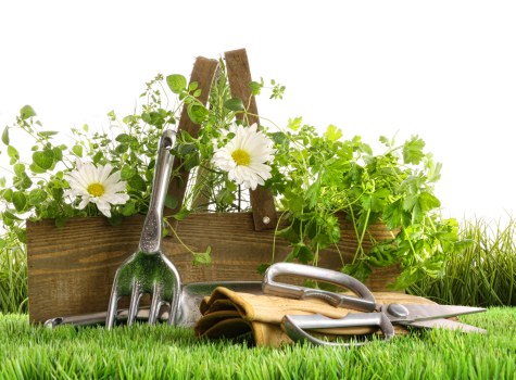 PCI-compliant payment processing for Gardeners Aldborough Hatch