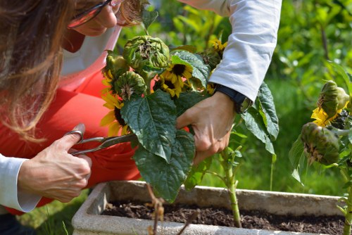 Garden maintenance in Aldborough Hatch with tidy borders and shrubs